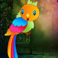 Colorful Bird Escape