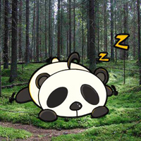 Wakeup The Snooze Panda