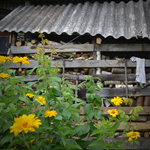 Free online flash games - Garden Door game - Games2Rule 