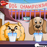 Free online flash games - Dog Championship game - Games2Rule 