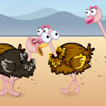 Free online flash games - Ostrich Lovely Kiss game - Games2Rule 