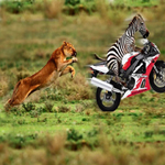 Free online flash games - Hidden Alphabets-Funny game - Games2Rule 