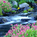 Free online flash games - Hidden Numbers-Nature game - Games2Rule 