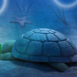 Free online flash games - Hasty Turtle game - Games2Rule 