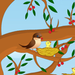 Free online flash games - Bird Feeding game - Games2Rule 