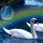 Free online flash games - Fantasy Swan HS game - Games2Rule 