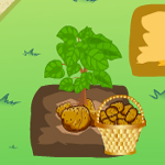 Free online flash games - Happy Gardener 2 game - Games2Rule 