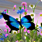 Free online flash games - Hidden Stars-Butterflies game - Games2Rule 