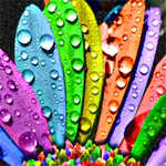 Free online flash games - Hidden Stars-Colorful Leaves game - Games2Rule 