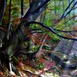 Free online flash games - Hidden Stars-Fantasy Forest game - Games2Rule 