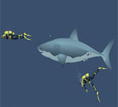 Free online flash games - Mad Shark game - Games2Rule 