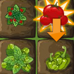 Free online flash games - Plants vs Bugs game - Games2Rule 