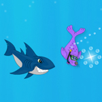 Free online flash games - Seals Vs Sharks game - Games2Rule 