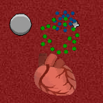 Free online flash games - Small White Lymphocyte game - Games2Rule 