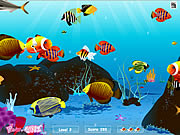 Free online flash games - Water World game - Games2Rule 