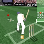 Free online flash games - Cricket Challenge game - Games2Rule 