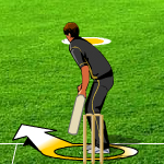 Free online flash games - Fantacy Cricket game - Games2Rule 