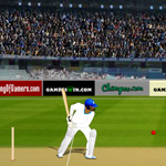 Free online flash games - Turbo Cricket Pro game - Games2Rule 
