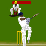 Free online flash games - Virtual Cricket game - Games2Rule 