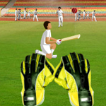 http://www.games2rule.com/images/others/sports/wicket-keeping-volt/wicket-keeping-volt.jpg
