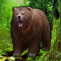 Grizzly Bear Forest Escape Info About The Game Games2rule