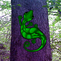 Free online html5 games - Anole Lizard Forest Escape game - Games2rule