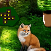 Free online html5 games - Blue Eyed Fox Forest Escape game - Games2rule