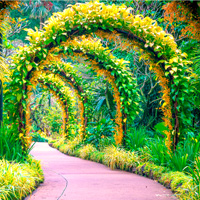 Free online html5 games - City Botanic Garden Escape game - Games2rule 
