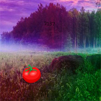 Free online html5 games - Fantasy Honey Bee Escape game - Games2rule 