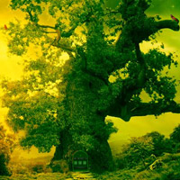 Free online html5 games - Fantasy Tree Escape game 