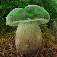 Free online html5 games - Mushroom Greenland Escape game - Games2rule
