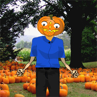 Free online html5 games - Save the Pumpkin Man game - Games2rule