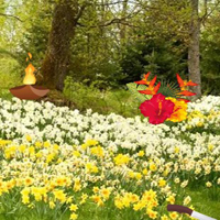 Free online html5 games - Thanksgiving Lush Forest Escape game - Games2rule