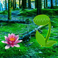 Free online html5 games - Verdurous Forest Escape game - Games2rule