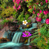 Free online html5 games - Victoria Flower Garden Escape game - Games2rule