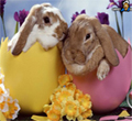 Free online html5 games - Hidden Numbers-Easter game - Games2rule 