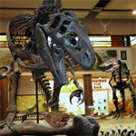 Free online html5 games - Hidden Objects-Museum 2 game - Games2rule 
