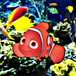 Free online html5 games - Find the Nemo game - Games2rule 