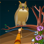 Free online html5 games - Hidden Owls game - Games2rule 
