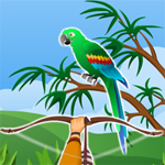 Free online html5 games - Hidden Parrots game 