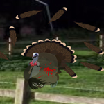 Free online html5 games - Hidden Turkey game - Games2rule 