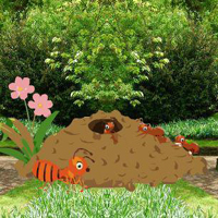 Free online html5 games - Ant Find The House game - Games2rule