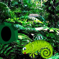 Free online html5 games - Chameleon Rain Forest Escape HTML5 game - Games2rule