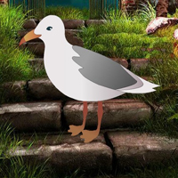 Free online html5 games - Dazzle Forest Escape HTML5 game - Games2rule