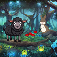 Discover Black Sheep Infant