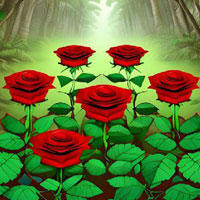 Dreamy Rose Wonderland Escape HTML5
