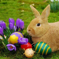 Easter Blue Egg Bunny Escape HTML5