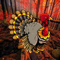 Escape Turkey From Deep Pit HTML5