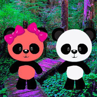 Friends Panda Escape