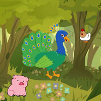 Gathering The Peacock Friends